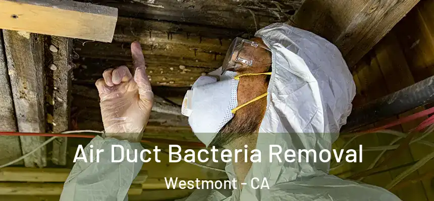  Air Duct Bacteria Removal Westmont - CA