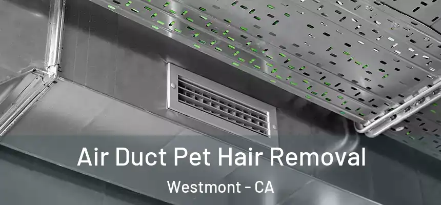  Air Duct Pet Hair Removal Westmont - CA