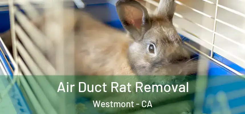  Air Duct Rat Removal Westmont - CA