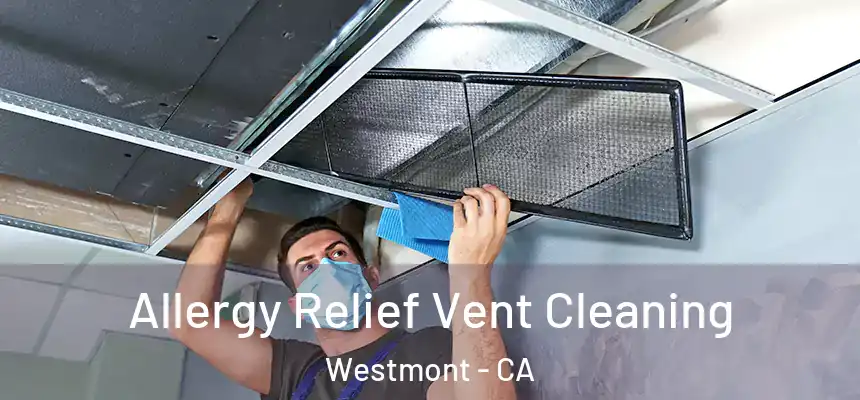  Allergy Relief Vent Cleaning Westmont - CA