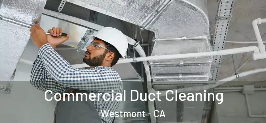  Commercial Duct Cleaning Westmont - CA