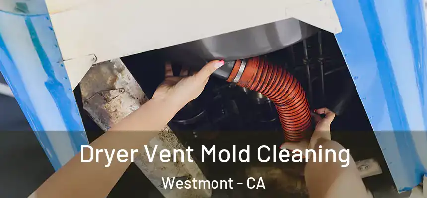Dryer Vent Mold Cleaning Westmont - CA