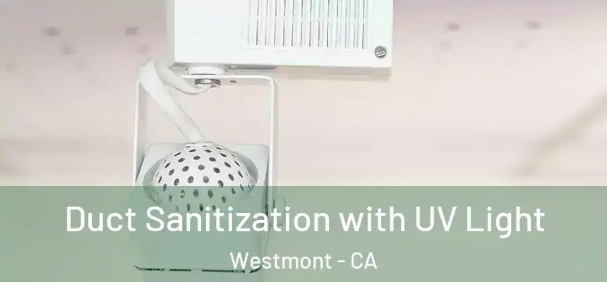 Duct Sanitization with UV Light Westmont - CA