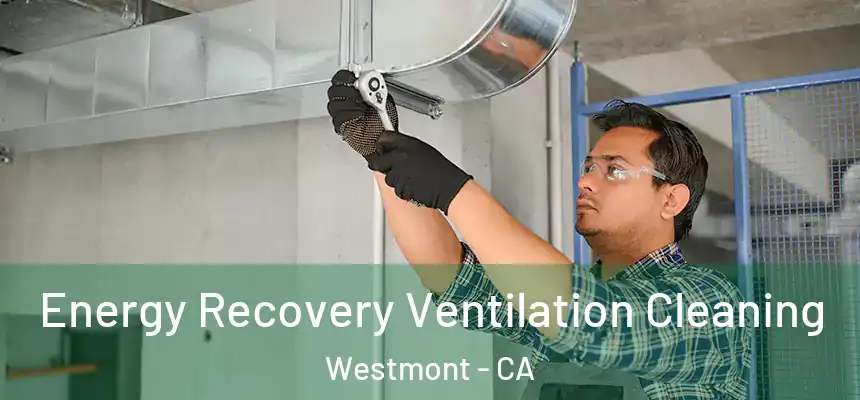 Energy Recovery Ventilation Cleaning Westmont - CA