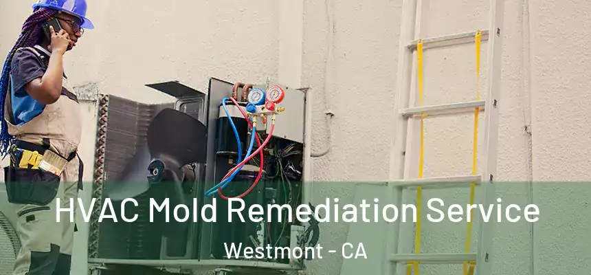 HVAC Mold Remediation Service Westmont - CA