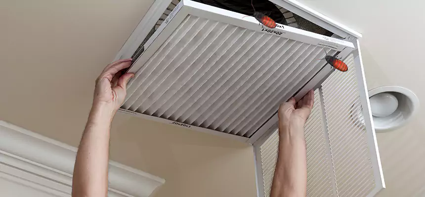 Preventive Cockroach-Proofing for Ducts in Westmont
