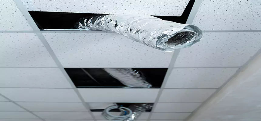 Our Air Duct Pet Hair Removal Services in Westmont, CA