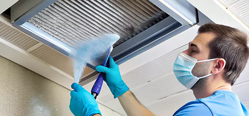 Proactive Dryer Vent & Auxiliary Duct Pollen Cleanup in Westmont, CA