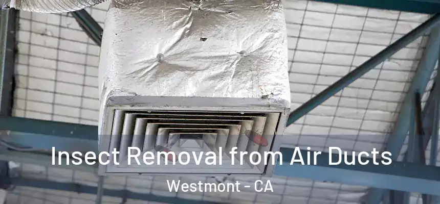  Insect Removal from Air Ducts Westmont - CA