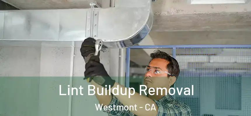 Lint Buildup Removal Westmont - CA