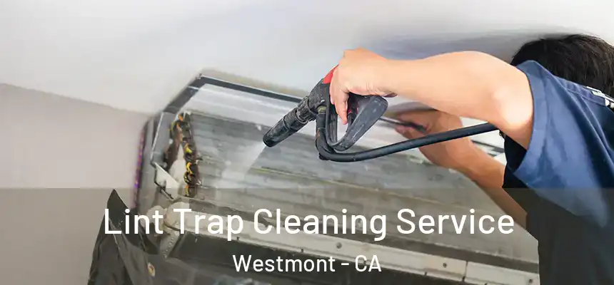  Lint Trap Cleaning Service Westmont - CA
