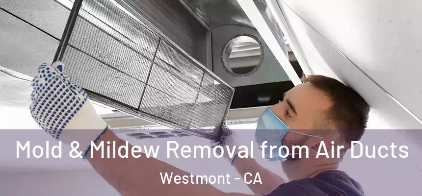  Mold & Mildew Removal from Air Ducts Westmont - CA