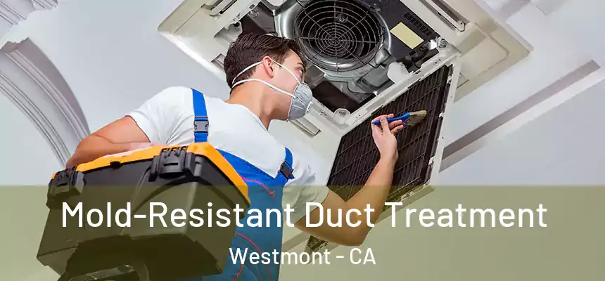  Mold-Resistant Duct Treatment Westmont - CA