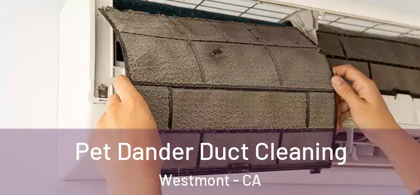 Pet Dander Duct Cleaning Westmont - CA