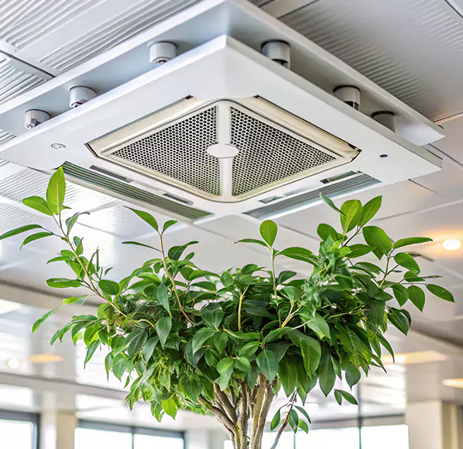 Why Homeowners & Businesses Trust Us in Westmont, CA?