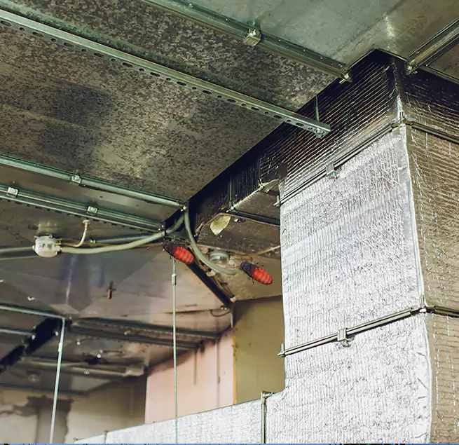 Why Homeowners & Businesses Trust Us Westmont, CA?