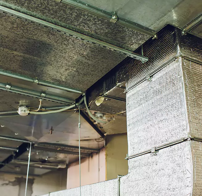 Why Homeowners & Businesses Trust Us in Westmont, CA?