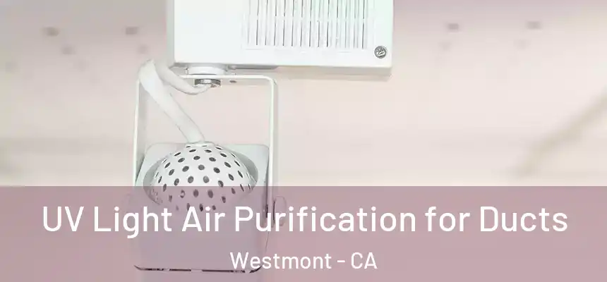  UV Light Air Purification for Ducts Westmont - CA